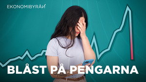 Ekonomibyrån 10. évad Ep.31 31. epizód