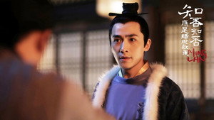 知否知否应是绿肥红瘦DVD版 kép
