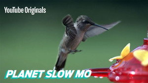 Planet Slow Mo 1. évad Ep.10 10. epizód