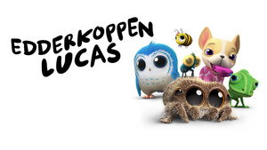 Lucas, a pók kép