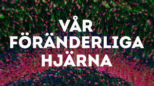 Din hjärna 3. évad Ep.4 4. epizód