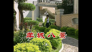 外来媳妇本地郎 2. évad Ep.377 377. epizód