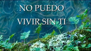 Planeta Microbio 1. évad Ep.9 9. epizód