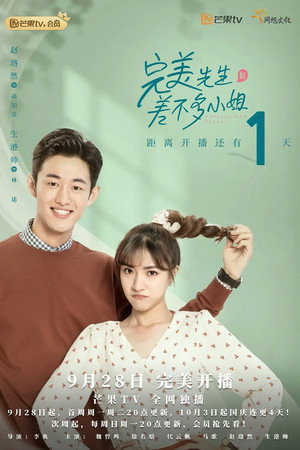 完美先生和差不多小姐 poszter