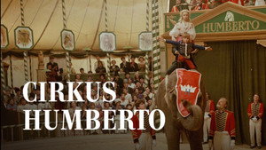 Zirkus Humberto kép