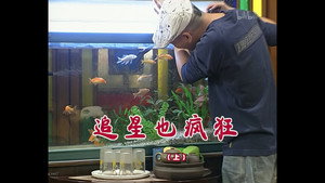 外来媳妇本地郎 3. évad Ep.737 737. epizód