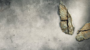 Cults and Extreme Belief kép