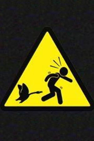 Les Rescapés de l'Impossible poszter