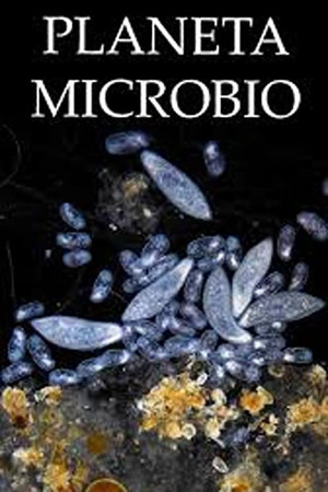 Planeta Microbio 1. évad (2024-05-02) poszter