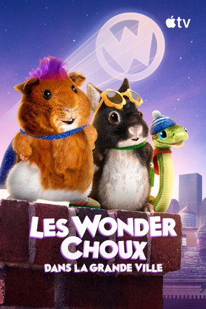 Wonder Pets: In the City poszter