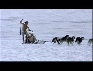 Wildboyz 1. évad Ep.6 6. epizód