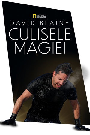 Ezt ne próbáld ki! - Halálos mutatványok David Blaine-nel poszter