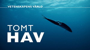 Vetenskapens värld 48. évad Ep.23 23. epizód