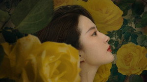 玫瑰的故事 kép