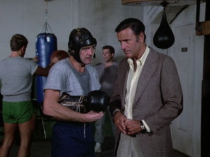 The Six Million Dollar Man 4. évad Ep.17 17. epizód