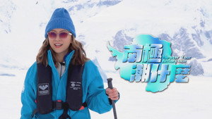 南极潮什么 kép