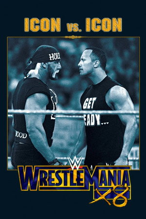 WWE Pay Per View 18. évad (2002-01-20) poszter
