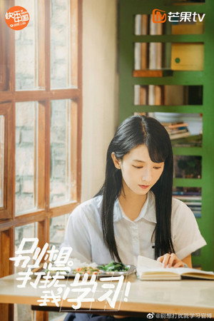 别想打扰我学习 poszter