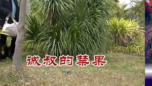 外来媳妇本地郎 6. évad Ep.2521 2521. epizód