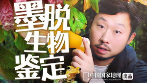 生命奇观 Speciális epizódok Ep.2 2. epizód