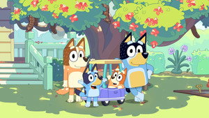 Bluey kép