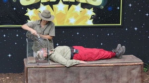 I'm a Celebrity...Get Me Out of Here! 13. évad Ep.14 14. epizód