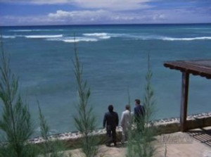 Hawaii Five-O 4. évad Ep.13 13. epizód