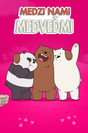 Medvetesók poszter