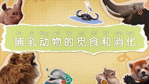 斑马百科 9. évad Ep.6 6. epizód