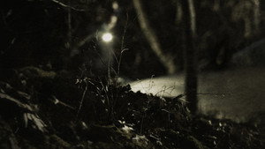 Where Murder Lies kép