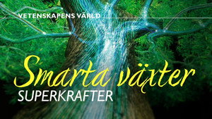 Vetenskapens värld 51. évad Ep.1 1. epizód