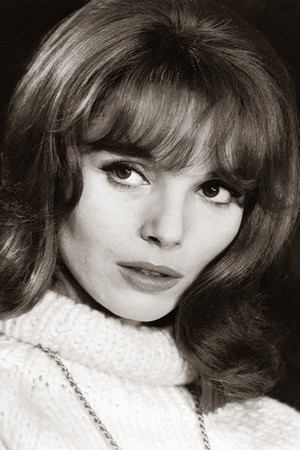 Elsa Martinelli profil kép