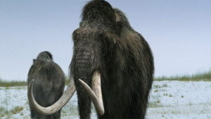 Walking with Beasts kép