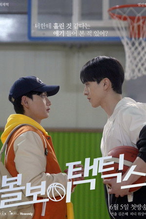 볼보이 택틱스 poszter