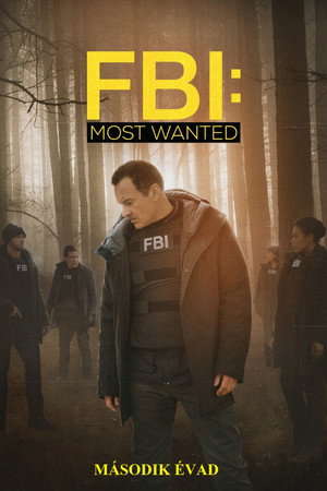 FBI: Most Wanted 2. évad (2020-11-17) poszter
