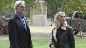 NCIS: Tengerészeti helyszínelők 13. évad Ep.10 Testvérek