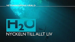 Vetenskapens värld 47. évad Ep.1 1. epizód
