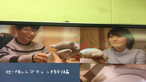 逃げるは恥だが役に立つ ムズキュン!特別編 kép