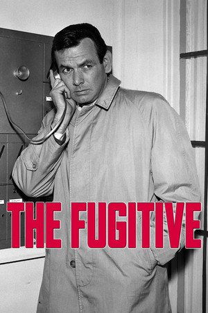 The Fugitive poszter