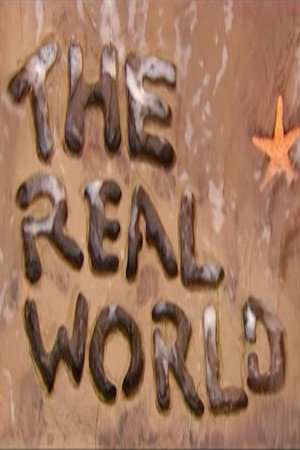 The Real World 14. évad (2004-01-06) poszter
