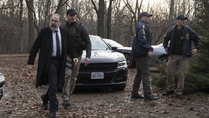Homeland: A belső ellenség 7. évad Ep.8 Hazugságok, túlzások és az a rohadt Twitter