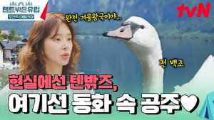 텐트 밖은 유럽 5. évad Ep.11 11. epizód