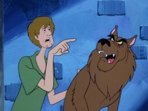 Scooby és Scrappy-Doo 4. évad Ep.35 Scooby, a farkasember