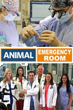 Animal ER poszter