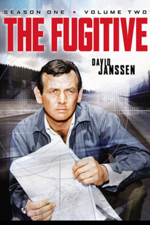 The Fugitive 1. évad (1963-09-17) poszter