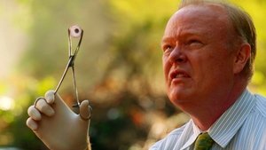 CSI: Miami-helyszínelők 10. évad Ep.4 Bagoly mondja verébnek