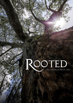 Rooted 1. évad (2018-06-29) poszter