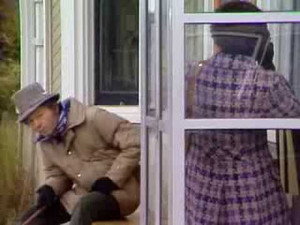 The Littlest Hobo 2. évad Ep.15 15. epizód
