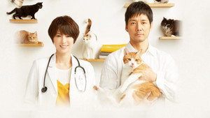 ブランケット・キャッツ kép