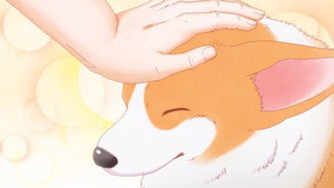 殿と犬 kép